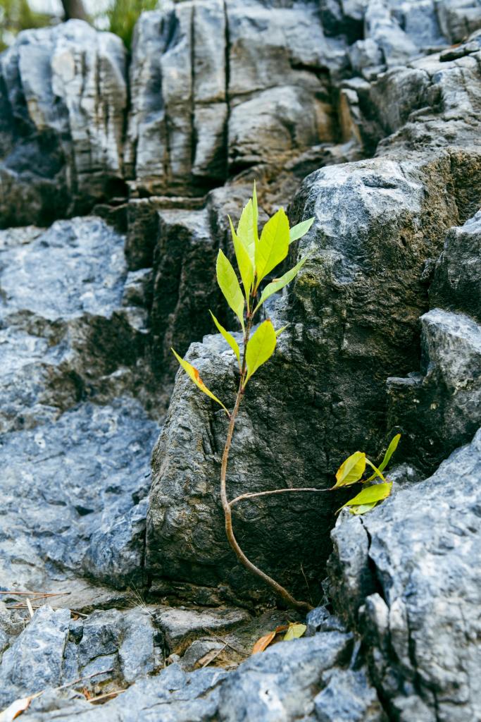 this image shows how to navigate the difficult times and rise above them